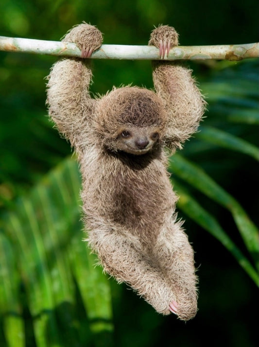 Surfing Costa Rica - Costa Rica es destacada por prestigioso medio internacional como un paraíso natural y un destino de surf épico