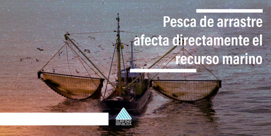Surfing Costa Rica - Pesca de arrastre afecta directamente el recurso marino