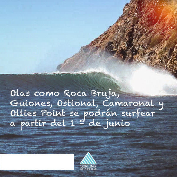 Surfing Costa Rica - Olas como Roca Bruja, Guiones, Ostional, Camaronal y Ollies Point se podrán surfear a partir del 1º de junio