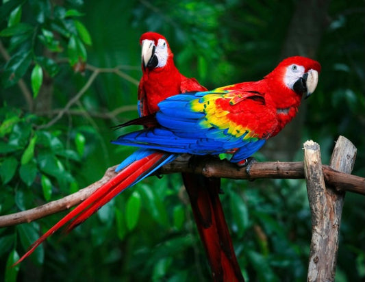 Surfing Costa Rica - Costa Rica obtiene el premio al mejor destino turístico responsable