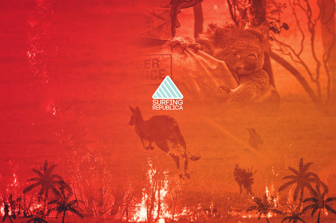 15 medidas preventivas para evitar incendios forestales este verano