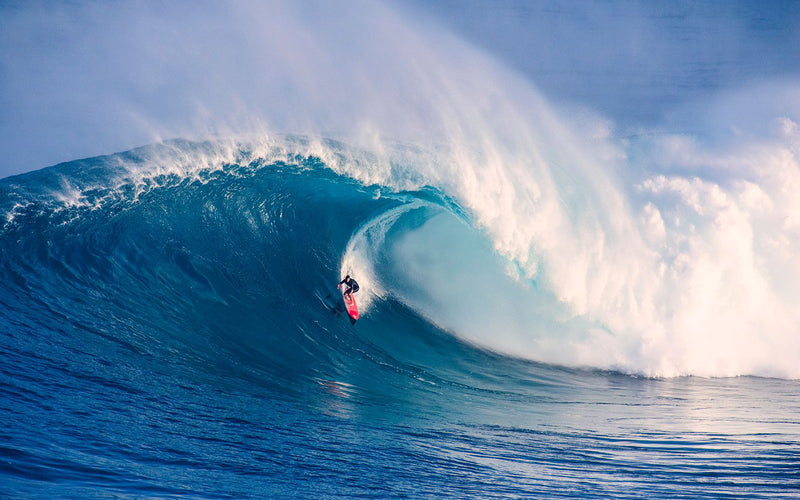 Surfing Costa Rica - Competencias de surf en Hawái son suspendidas y fecha CT es cancelada
