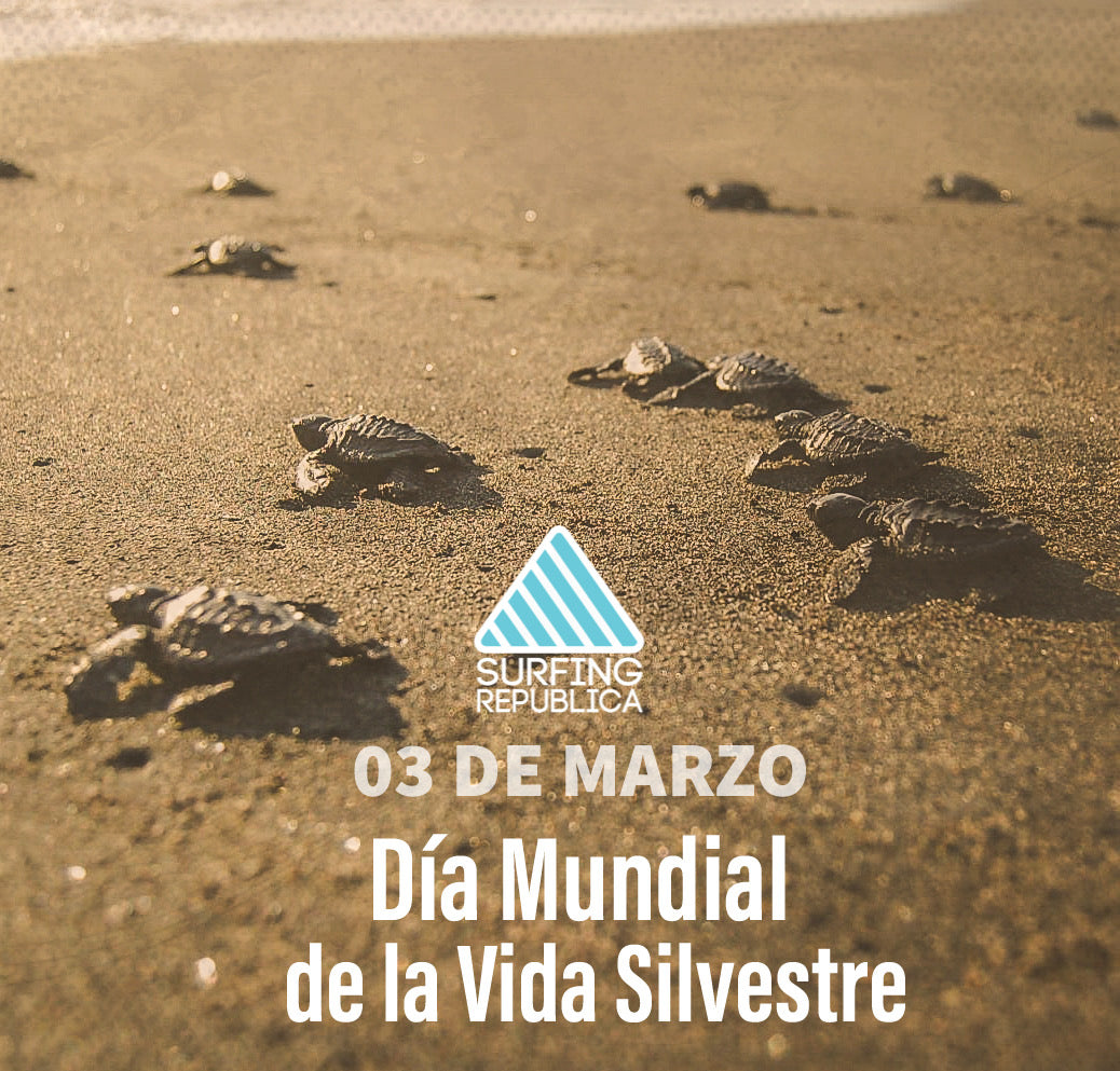 Surfing Republica - Hoy 03 de marzo se celebra el Día Mundial de la Vida Silvestre