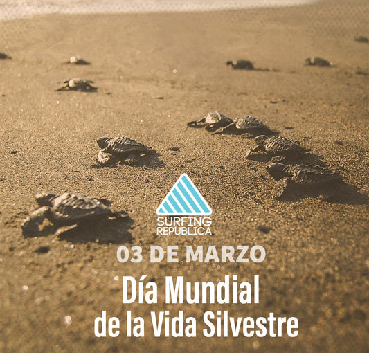 Surfing Republica - Hoy 03 de marzo se celebra el Día Mundial de la Vida Silvestre